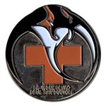 11 AVN Command Coin