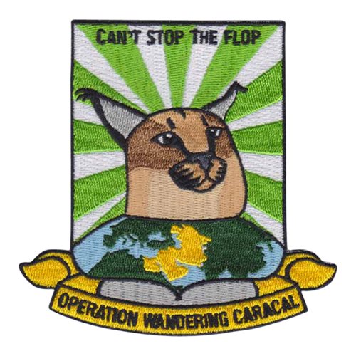 Operation Wandering Caracal Civilian Custom Patches