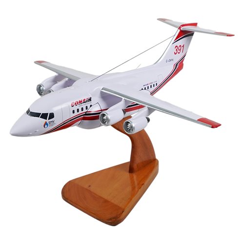 Avro RJ Civilian Aircraft Models