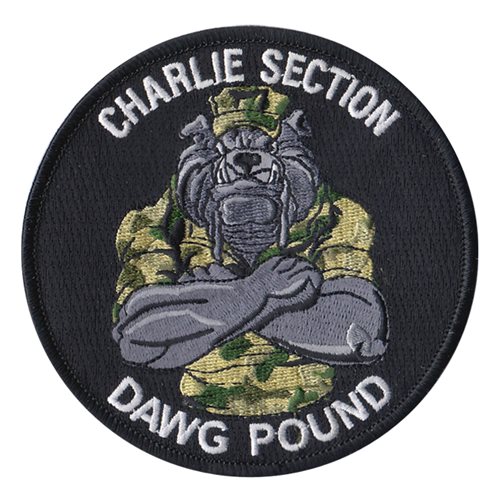 NSF Charlie Section U.S. Navy Custom Patches