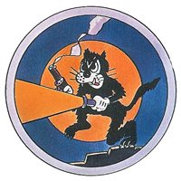 548th Combat Training Squadron (548 CTS) Custom Patches