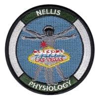 99 AMDS Patches