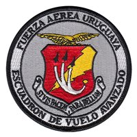 Uruguayan Air Force Patches