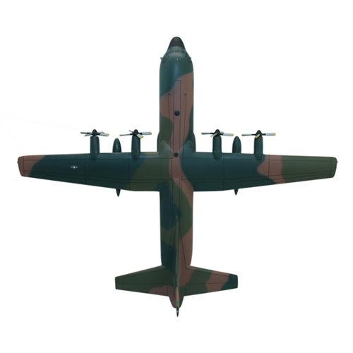 Design Your Own C-130 Hercules Aircraft Model - View 8