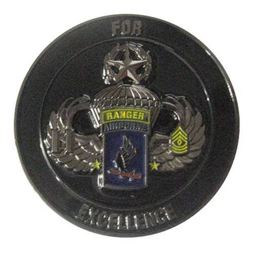 D Co 2-50 3IN 173 IBCT Challenge Coin - View 2