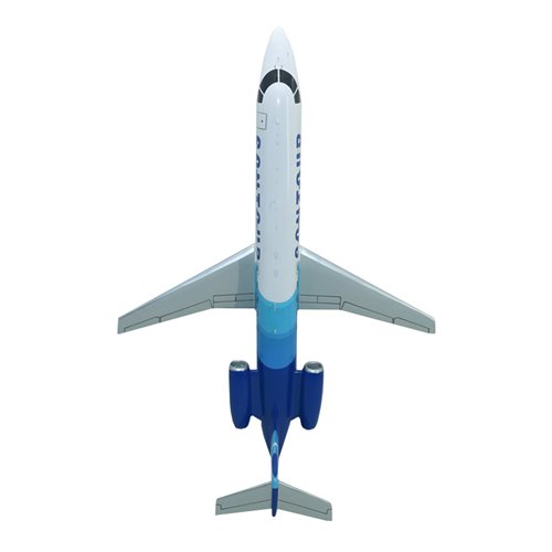 Embraer Phenom 100 Custom Airplane Model  - View 6