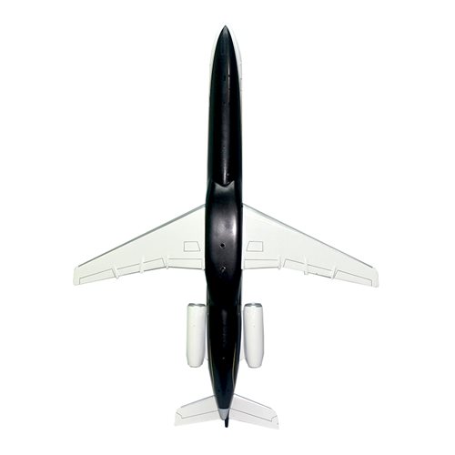 Embraer Phenom 100 Custom Airplane Model  - View 7