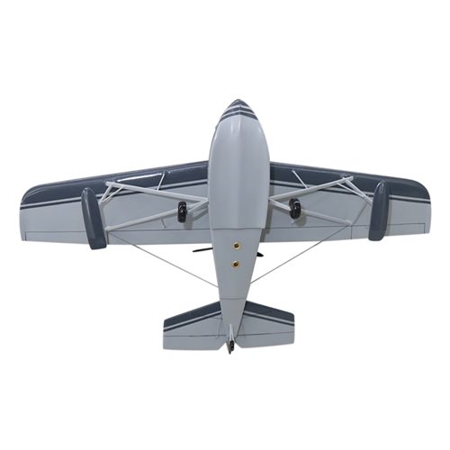Progressive Aerodyne SeaRey Elite Custom Airplane Model - View 7