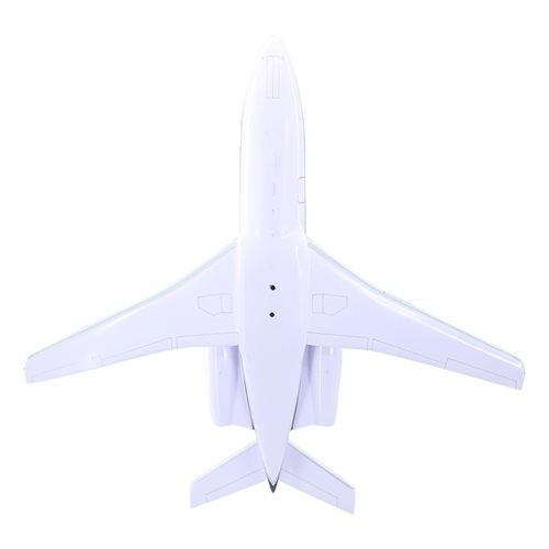 Falcon 10 Custom Airplane Model - View 7