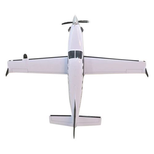 SOCATA TBM 900 Airplane Model - View 6