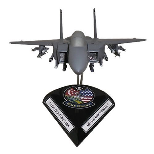 F-15SG Strike Eagle Custom Aircraft Model - View 5