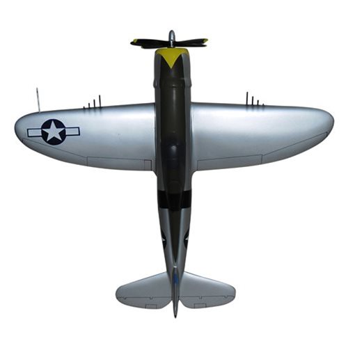 Design Your Own P-47 Thunderbolt Custom Airplane Model - View 8