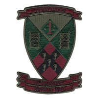 2nd Battalion, 5th Marines Subdued Patch