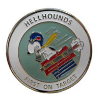 20 RS Squadron Coin