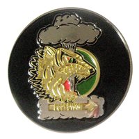 393 BS Challenge Coin