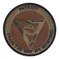 ANG Patriot Exercise OCP Patch