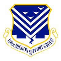 11 MSG Patch