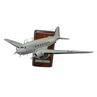 Design Your Own  C-33 Custom Aircraft Model