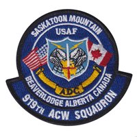 919 ACW Squadron Patch