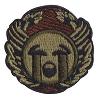 ANG Readiness Center Crying Badge Mini Patch