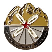 526 IS  Challenge Coin