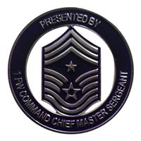 1 FW Command Chief Coin