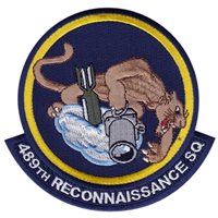 489 RS Squadron Desert Patch 