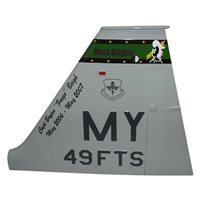 49 FTS T-38 Airplane Tail Flash