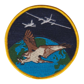 Image of final patch - you can see the fine detail of stiching under the birds wings, and can determind direction of planes with subtle shadow cues
