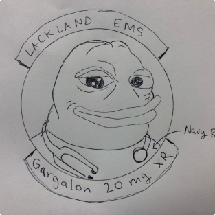 Pencil sketch of squadron patch with headshot of frog wearing a stethoscope