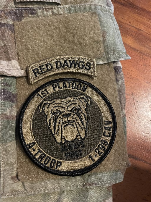 Alpha Troop 1st Squadron, 299th Cavalry Red Dawgs OCP patch with unit emblem and designation