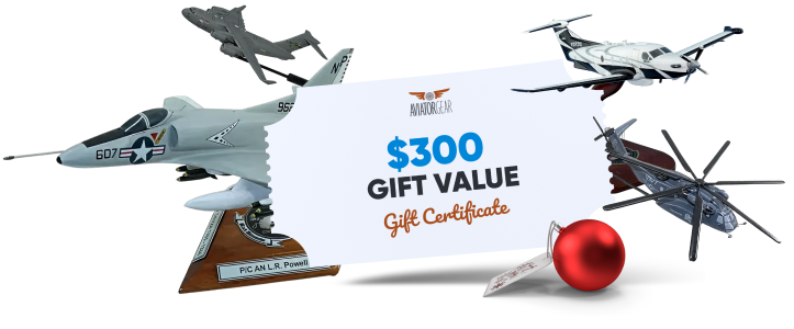 gift-certificate-airplanes
