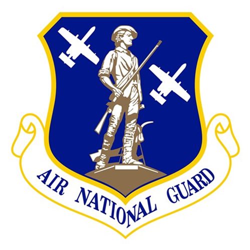 ANG A-10 ANG Aircraft Patches Air National Guard U.S. Air Force Custom Patches