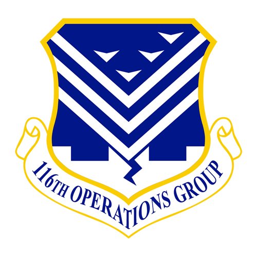 116 OG ANG Georgia Air National Guard U.S. Air Force Custom Patches