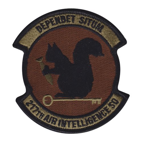 217 AIS ANG Michigan Air National Guard U.S. Air Force Custom Patches