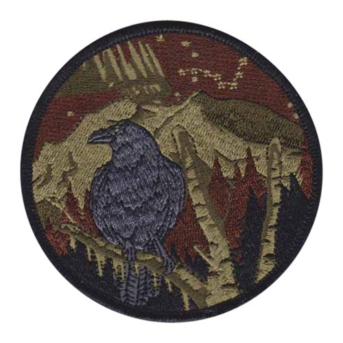 1 CWS ANG Washington Air National Guard U.S. Air Force Custom Patches