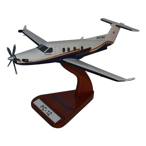 Pilatus Civilian Aircraft Models