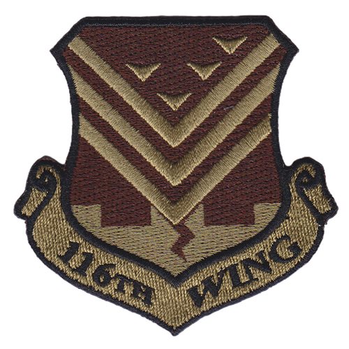 116 WG Robins AFB, GA U.S. Air Force Custom Patches