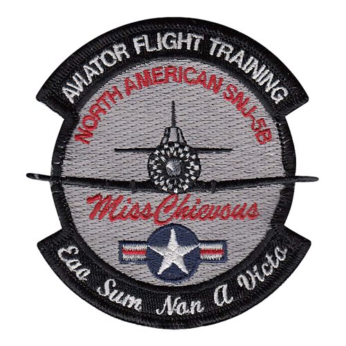 Aviator Flight Training Air Show Patches Custom Patches