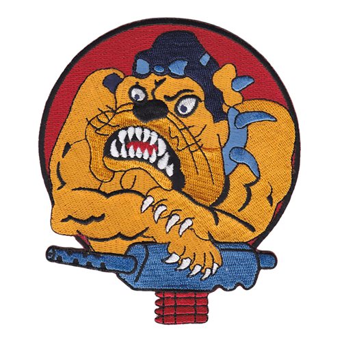 179 FS ANG Minnesota Air National Guard U.S. Air Force Custom Patches