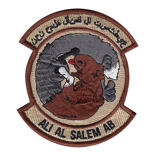 386 ELRS 386 AEW International Custom Patches