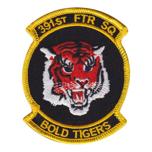 391 FS Mt Home AFB, ID U.S. Air Force Custom Patches