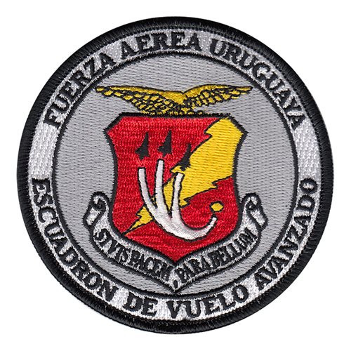 Uruguayan Air Force International Custom Patches
