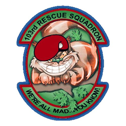 103 RQS ANG New York Air National Guard U.S. Air Force Custom Patches