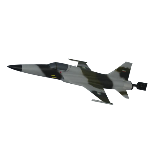 F-5 Briefing Sticks Fighter Briefing Sticks