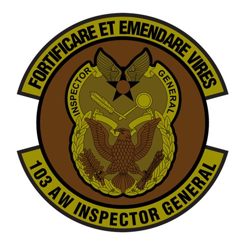 ANG Connecticut Air National Guard U.S. Air Force Custom Patches