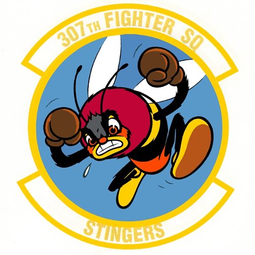 307 FS Shaw AFB, SC U.S. Air Force Custom Patches