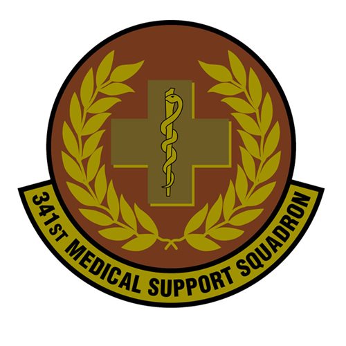 341 MDSS Malmstrom AFB, MT U.S. Air Force Custom Patches