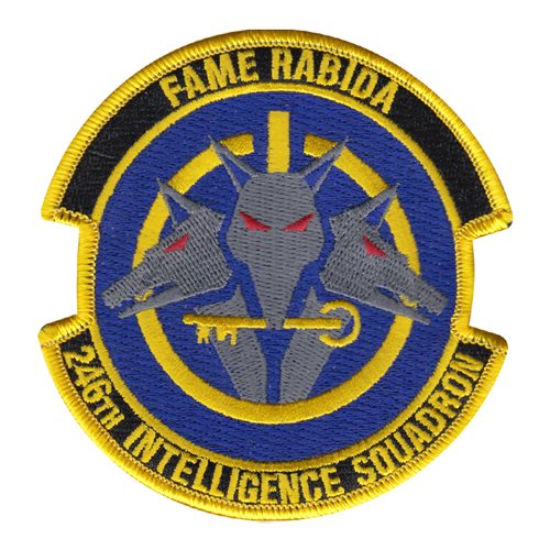 246 IS ANG Tennessee Air National Guard U.S. Air Force Custom Patches