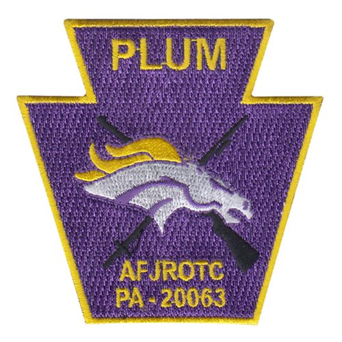 AFJROTC PA-20063 Plum High School High School JROTC Custom Patches